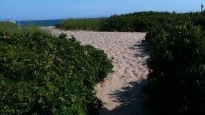 Un sentiero sabbioso costeggiato da una fitta vegetazione verde che conduce a una spiaggia.