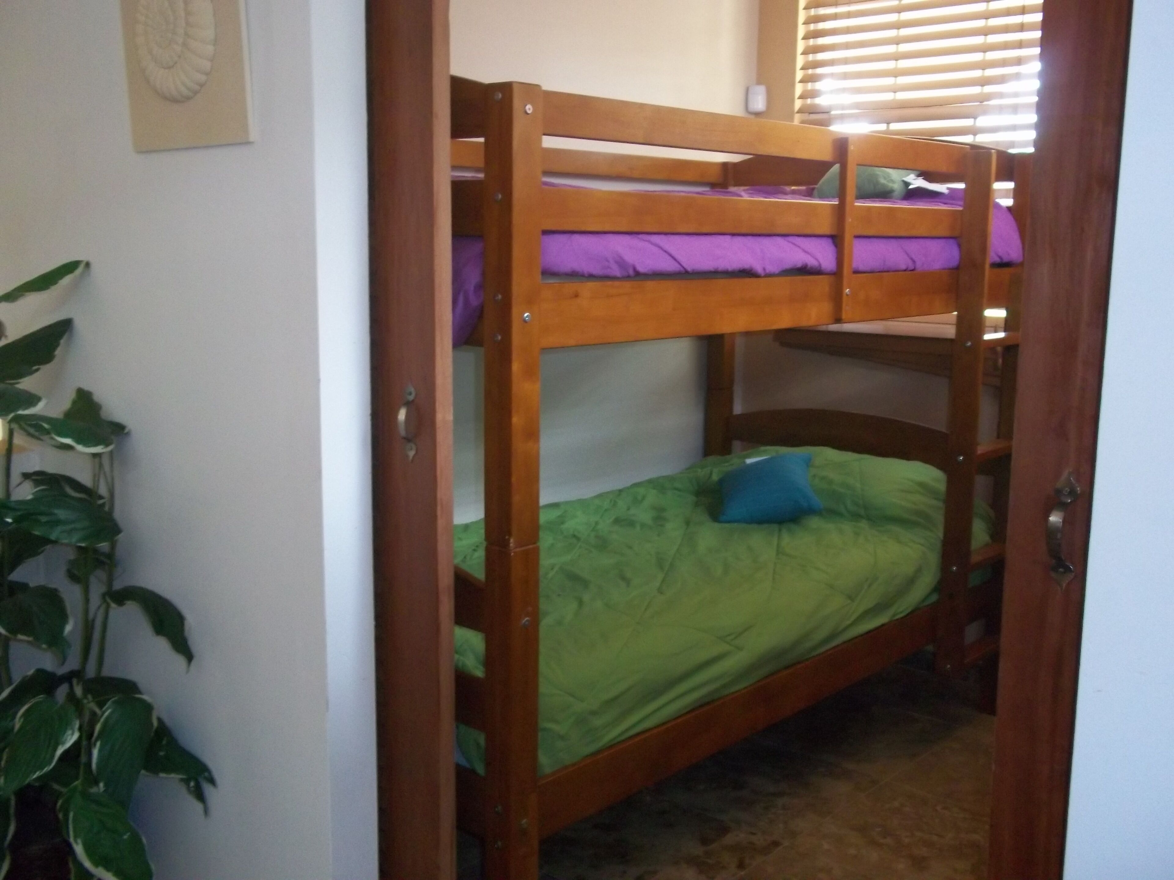 A bunk bed with a green mattress and a blue pillow, a wooden door, and a potted plant.