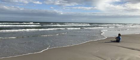 Sun-loungers, beach towels