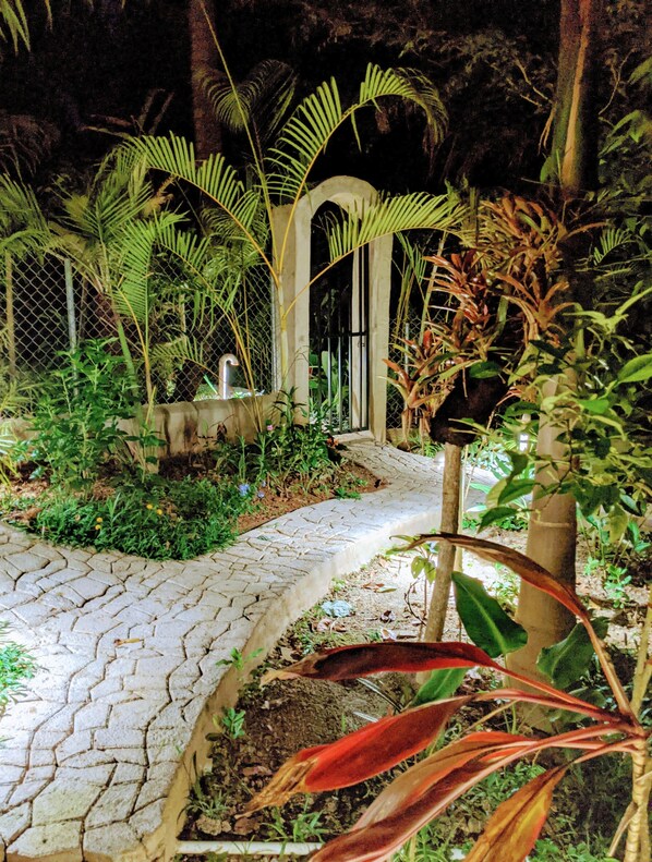 A paved pathway winding through a garden with various plants and a metal fence.