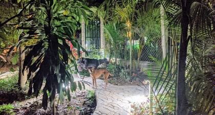 Der Honey Mooners Bungalow (Nr. 1) im Jurassic Park
