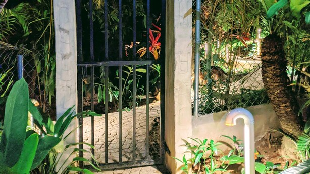 A gated entrance with a stone pathway leading to a building, surrounded by lush greenery.