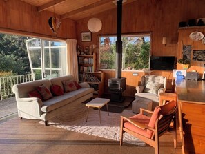Smart TV, fireplace, DVD player, books