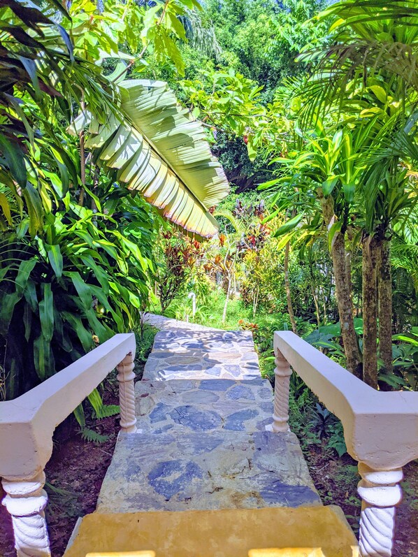 Jardines del alojamiento