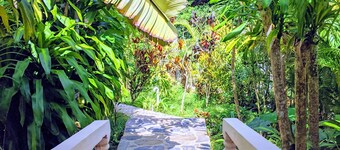 Harmony and Peace Cabin - Treat Yourself!