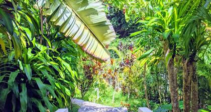 Harmony and Peace Cabin - Treat Yourself!