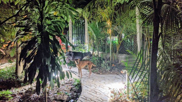 Property grounds