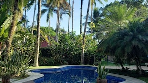 Un área de piscina con cubierta de madera, rodeada de altas palmeras y exuberante vegetación.