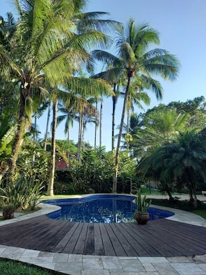 A pool area with a wooden deck, surrounded by tall palm trees and lush greenery.