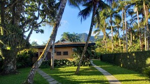 Una casa con un camino empedrado que la conduce, rodeada de exuberante follaje y palmeras.