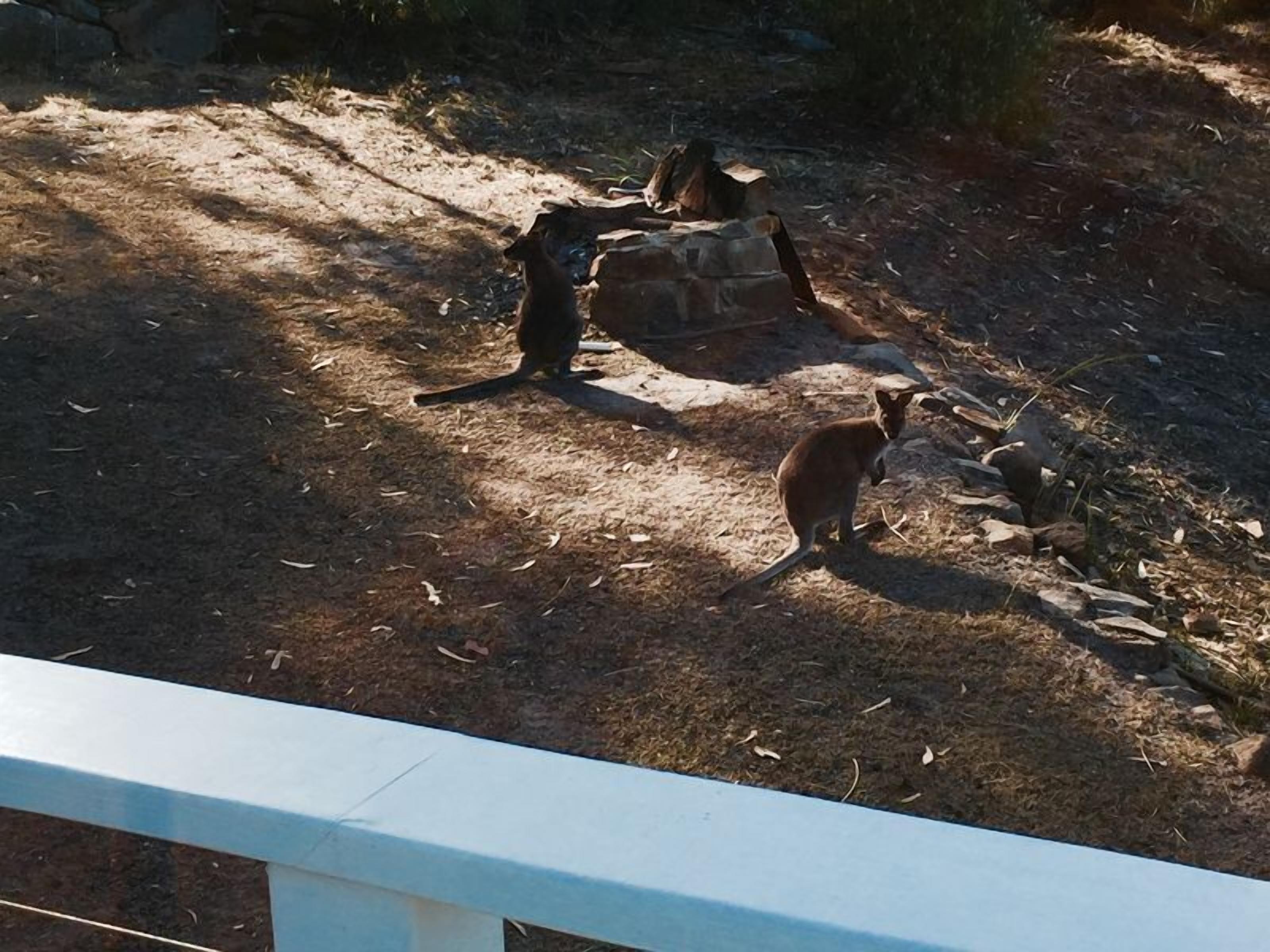 Bayview Bruny Island Beach House — image 10