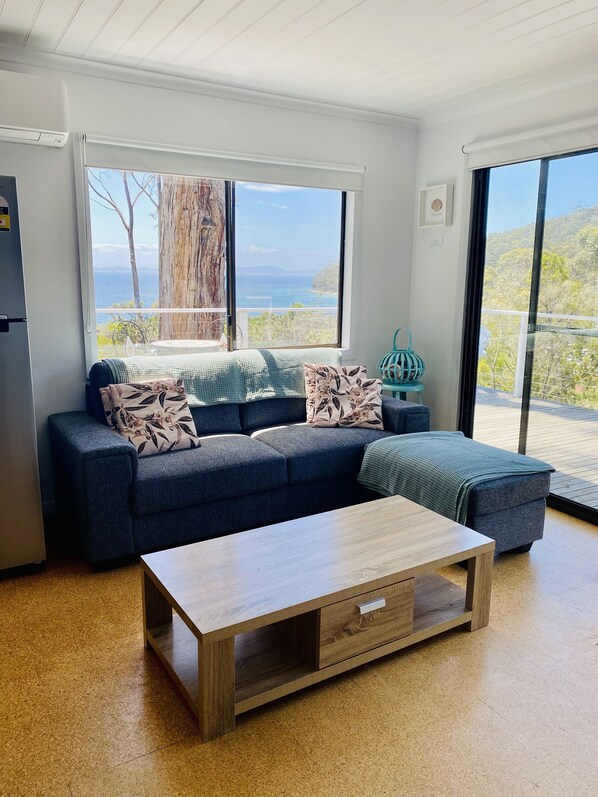 Smart TV, DVD player, books