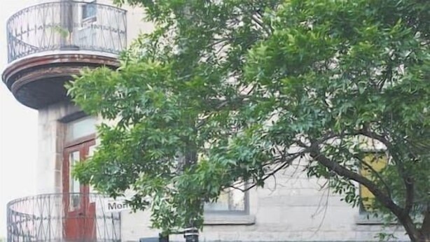 Un espace extérieur aménagé avec des tables où des personnes sont assises pour déjeuner ou dîner, un bâtiment doté d’un balcon, et une rue en arrière-plan.