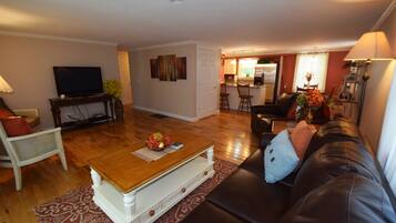 TV connectée, cheminée, livres