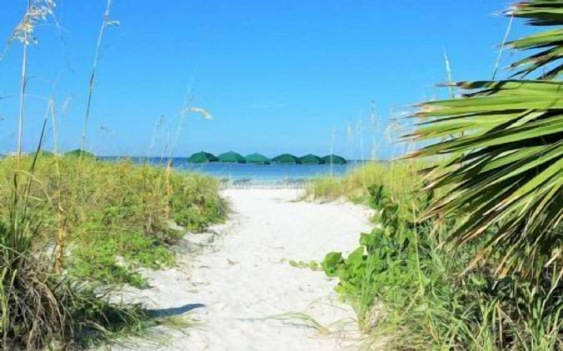 A sandy beach path leading to the sea with vegetation on either side.