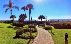 A paved pathway leading to a beach with palm trees and a clear sky. - Firethorn 322-Beachfront 2BR/1.5BA condo on gorgeous Siesta key (Siesta Key)