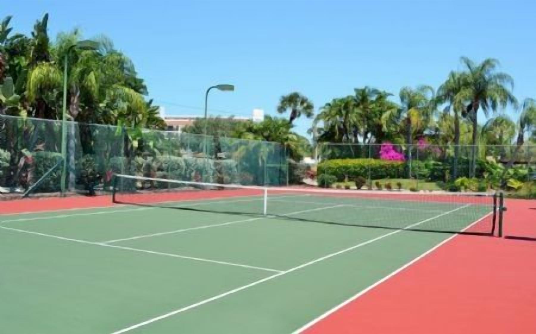 Un court de tennis avec un filet, entouré d’une clôture et de palmiers.