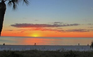 Um pôr do sol sobre uma praia com águas calmas e uma palmeira à esquerda.