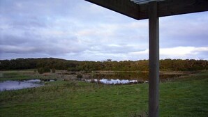 A view of a grassy field with a pond and trees in the background.
