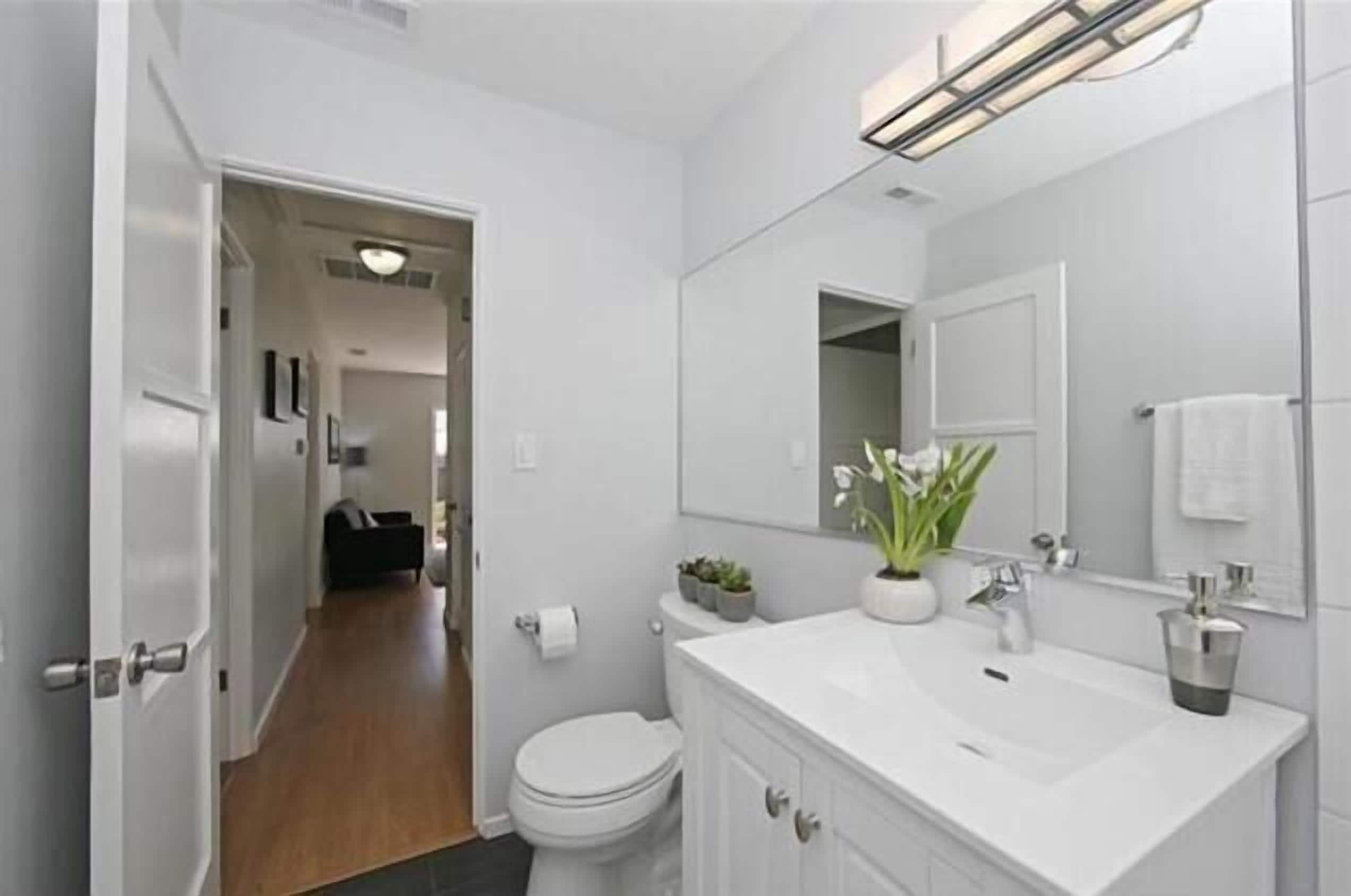 Un baño moderno con un lavamanos, espejo y retrete blancos. Hay una planta en maceta sobre el lavamanos y una toalla colgada en la pared.