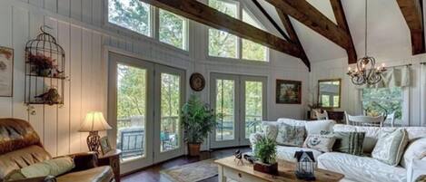 Smart TV, fireplace, DVD player, video library