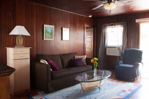 Télévision, cheminée, Netflix, lecteur de DVD