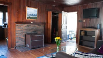 Télévision, cheminée, Netflix, lecteur de DVD