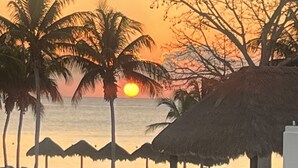 Un resort sulla spiaggia con palme, ombrelloni di paglia e poltrone relax.