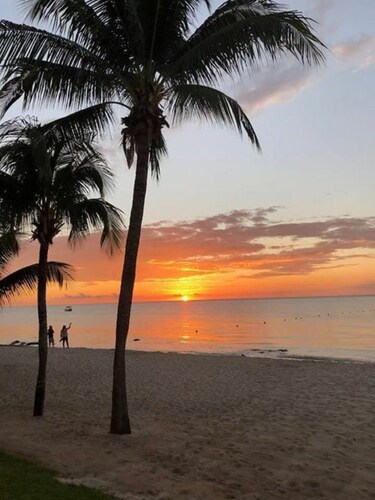 A Beachfront Condo in Paradise with Breathtaking Views! Heated Pools & WIFI!!