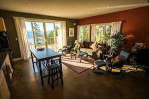 Smart TV, fireplace, DVD player, books