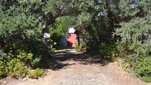 Property grounds - Sound Of The Surf - pet friendly (Venus Bay)