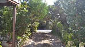 Un sentier bordé d’une végétation luxuriante, qui mène à un bâtiment dont on peut apercevoir la structure du toit.