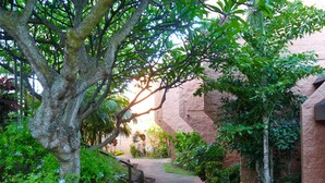 A pathway flanked by lush greenery and a brick building with a stone wall.