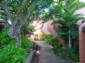 Property grounds - Stunning views over the Pacific Ocean (Lahaina,)