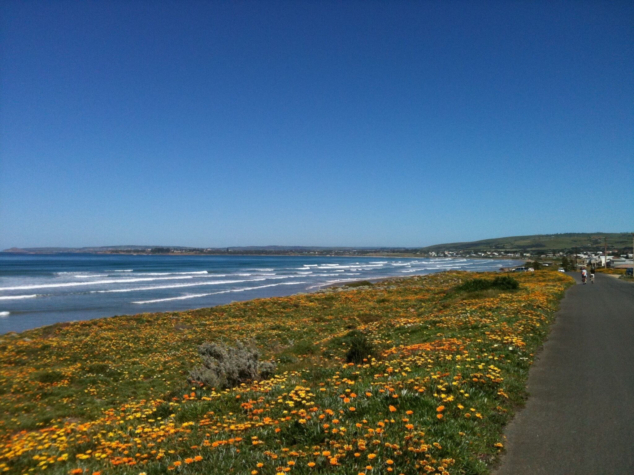 Coastal Hayborough – Your Perfect Port Elliot/Victor Harbor Base — image 28