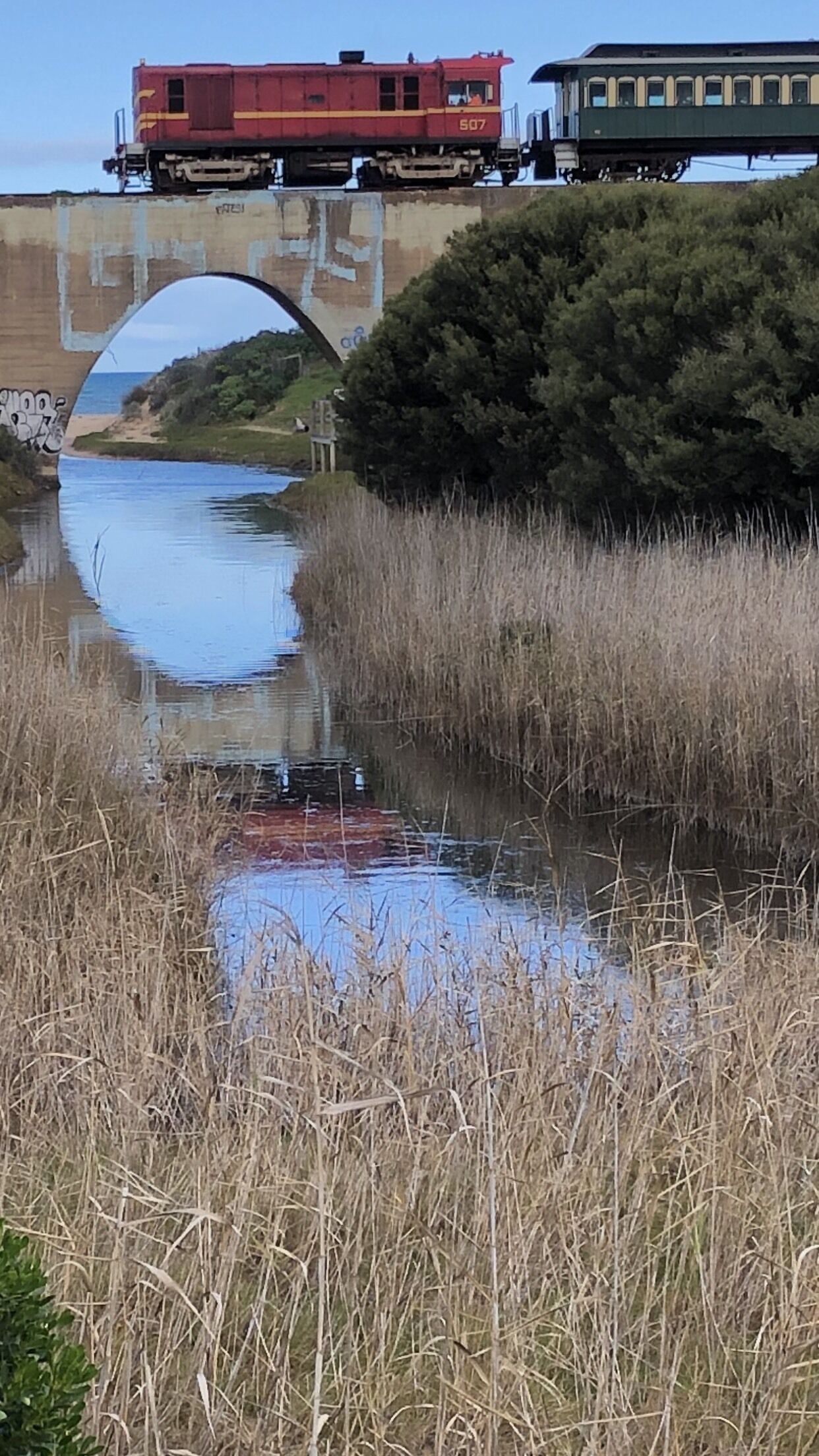 Un train traverse un pont au-dessus d’une rivière paisible, avec de hautes herbes au premier plan.