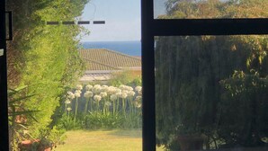 A view through a window of a garden with a lawn, potted plants, and a tiled roof structure in the background.