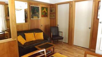 Een flatscreentelevisie, een dvd-speler, boeken en een filmbibliotheek