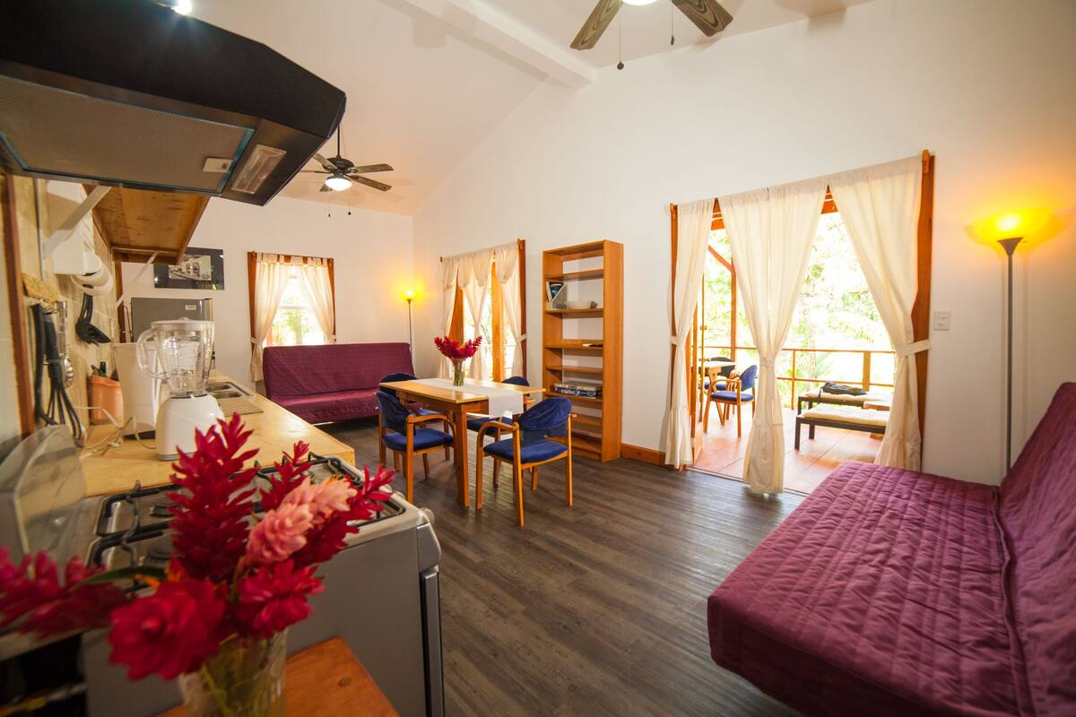 Un espacio habitable compacto con kitchenette, comedor y zona de estar.