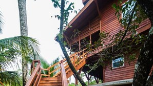 Una escalera de madera que conduce a un edificio rojo rodeado de abundante vegetación.