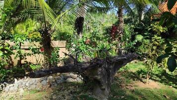 Jardín