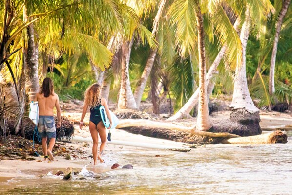 Kayaking - PirateArts Experience (Bocas del Toro)