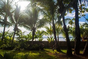 Garden - PirateArts Experience (Bocas del Toro)