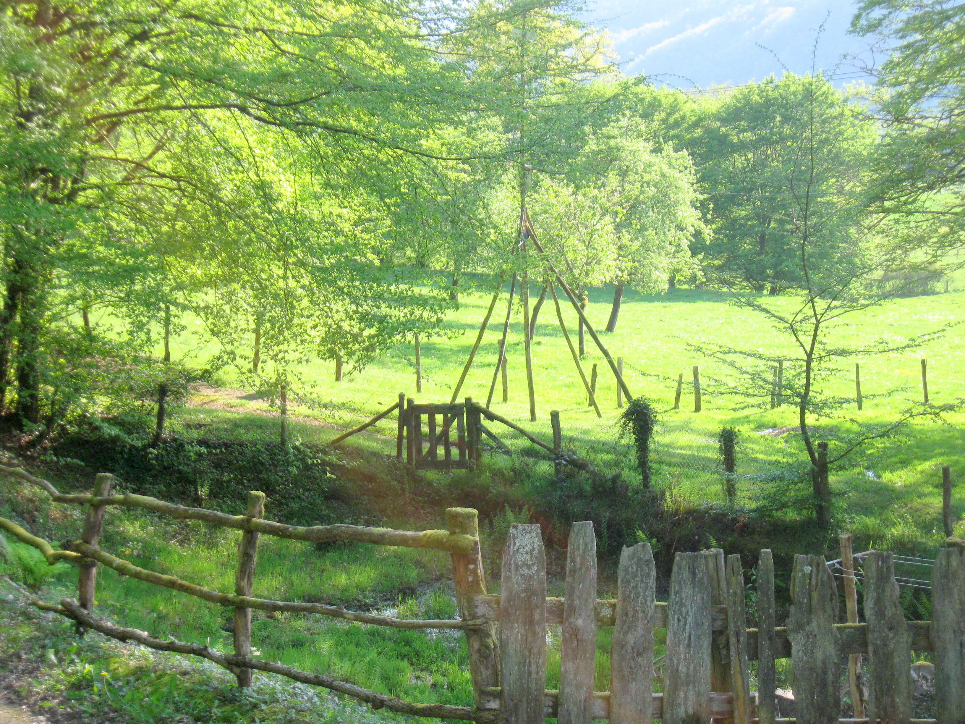 Una cerca de madera rústica con un portón, rodeada de frondosos árboles verdes y un campo cubierto de hierba.