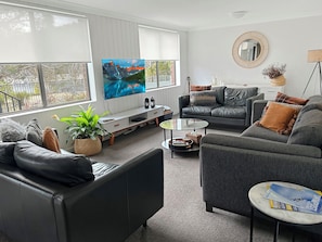 Smart TV, fireplace, DVD player, books