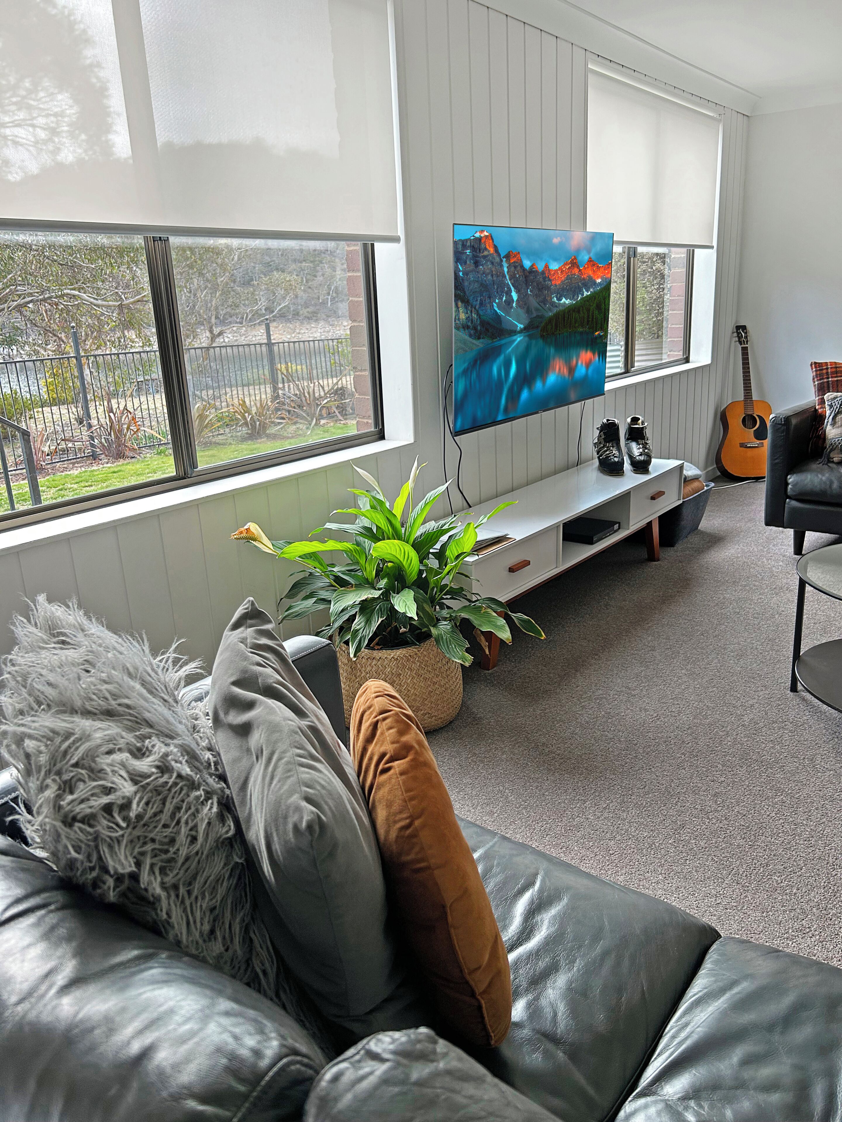 智能電視、壁爐、DVD 播放機、書籍