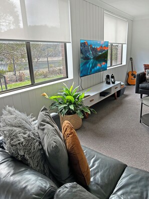 Smart TV, chimenea, reproductor de DVD y libros 