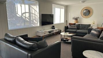 Smart TV, fireplace, DVD player, books