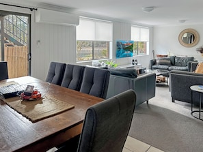 Smart TV, fireplace, DVD player, books