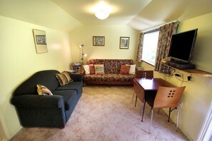 TV, DVD player, books, music library